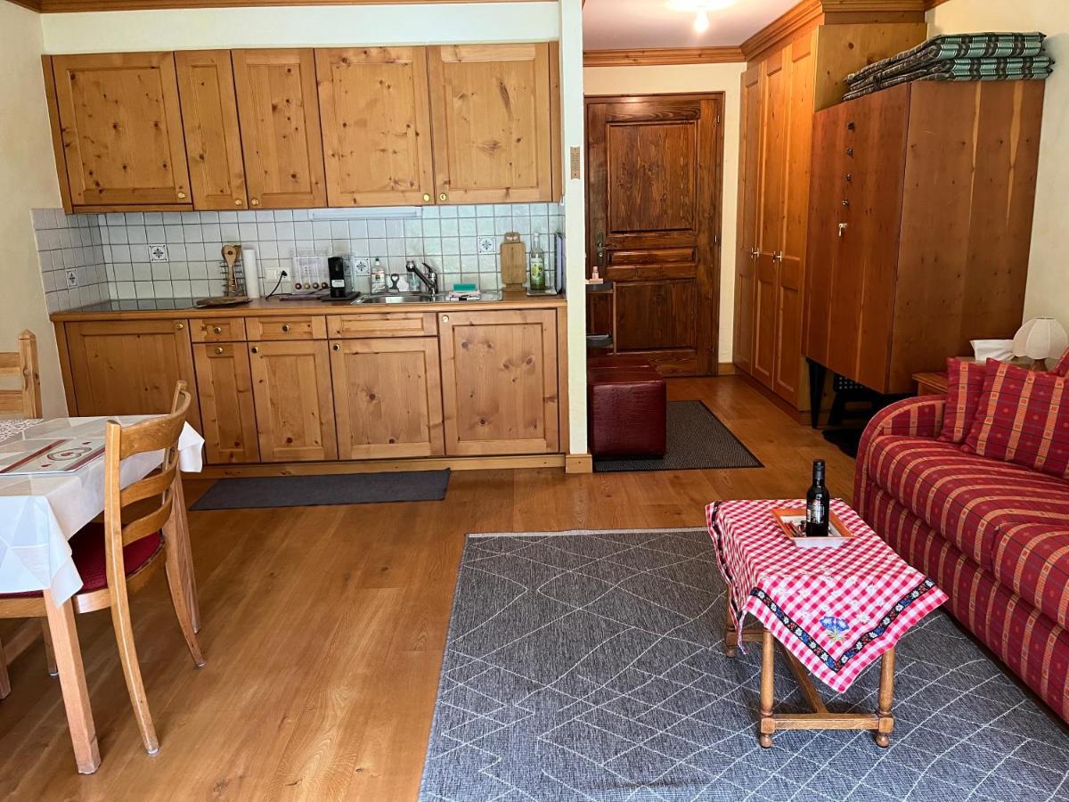 Studio - La Vieze Thermes Park Apartment Val d'Illiez Luaran gambar